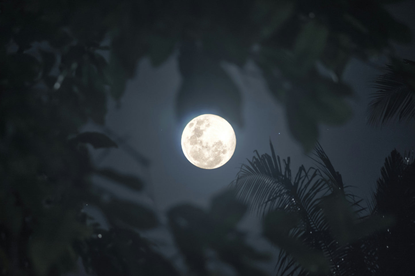 VR Game “Moon Clash” Sells 1M Copies
